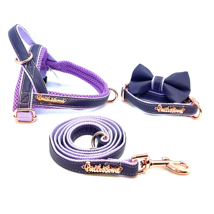 Orchid leash with hands-free extension