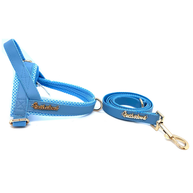 Maya Blue leash with hands-free extension
