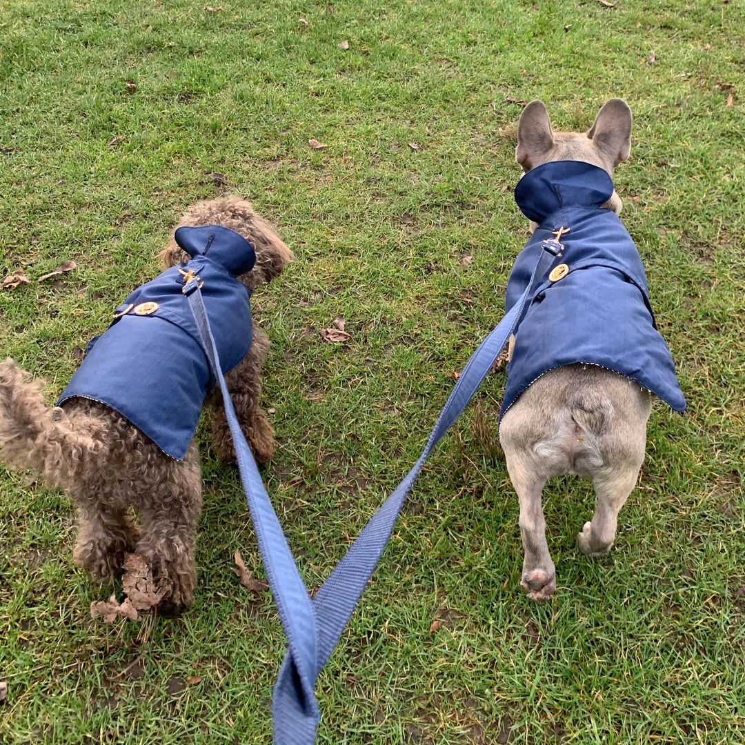 Rain, Mud and Mess. Cleaning and care for your dogs harness and leash!