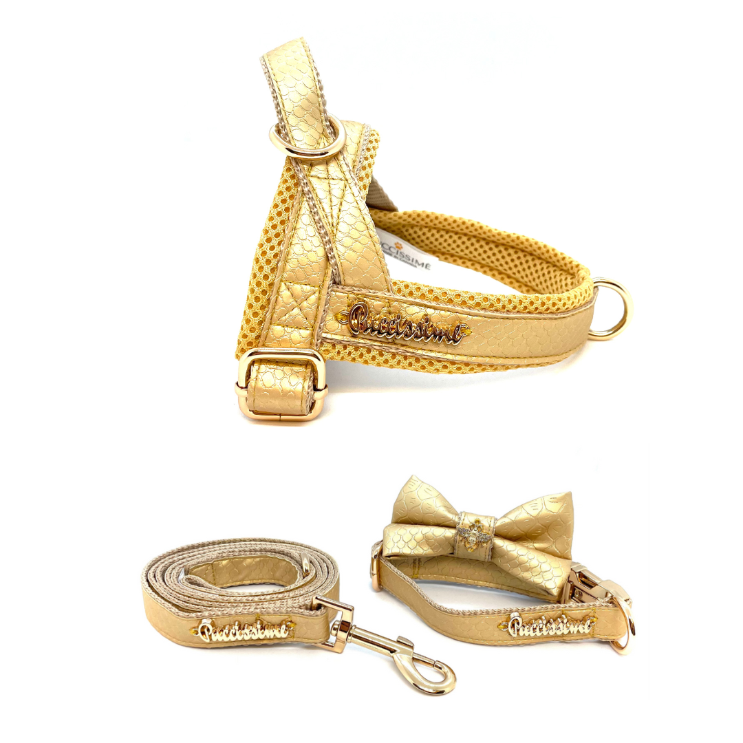 Aurelia collection