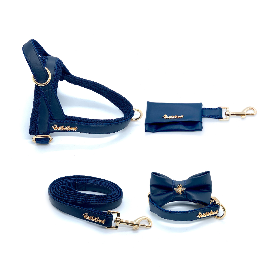 Neptune collection