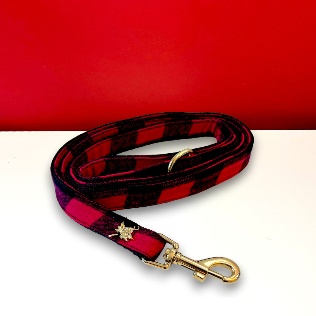 Canada leash with hands-free extension