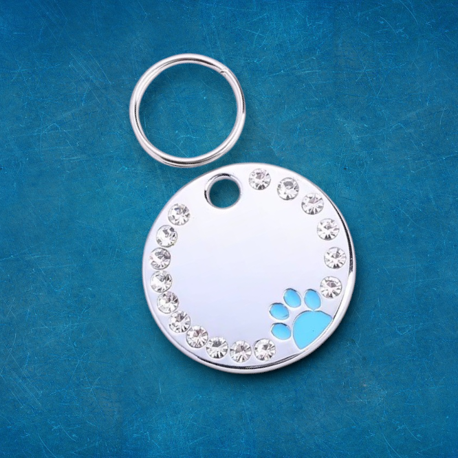 Personalized Engraved Stainless Steel Blue Round Pet ID Tag