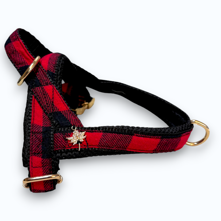 Canada maple dog Norwegian harness