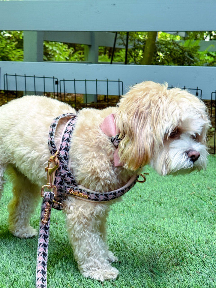 Elite One-Click Dog Harness