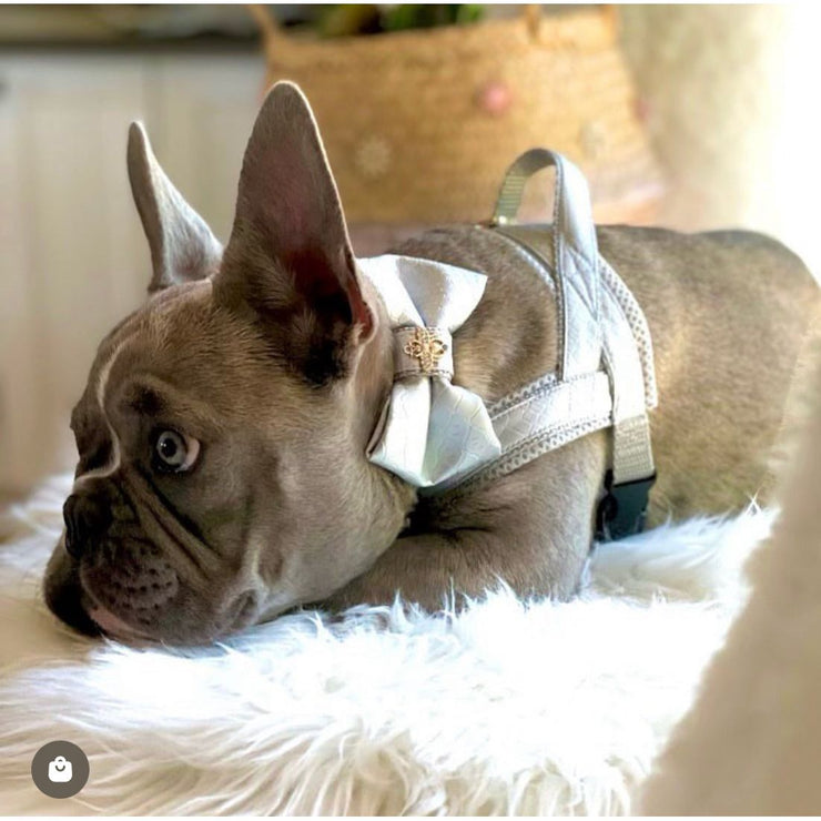 Diva One-click dog harness