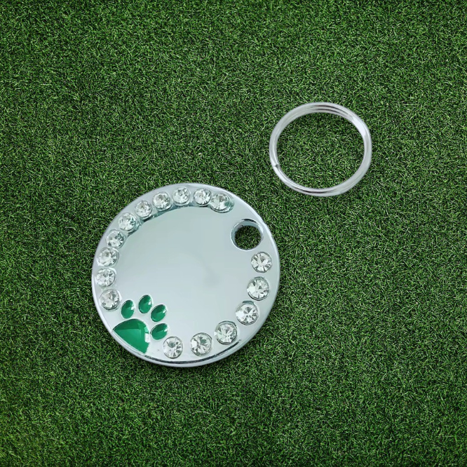 Personalized Engraved Stainless Steel Green Round Pet ID Tag