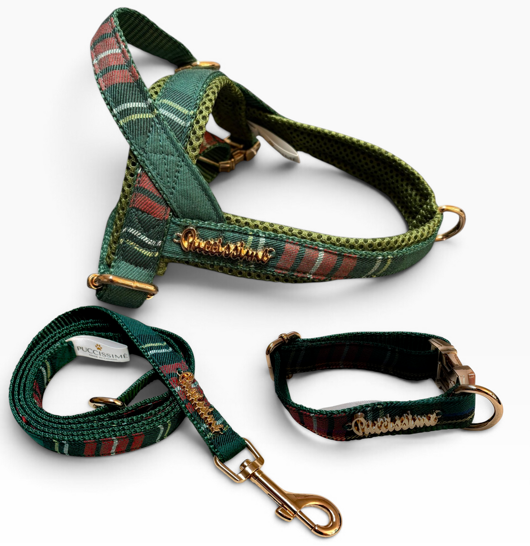 Highland collar