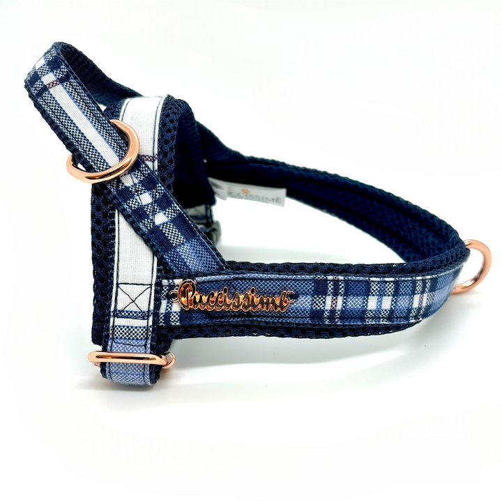 Regatta Plaid Blue One-Click Dog Harness