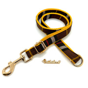 Medallion dog leash with hands-free extension