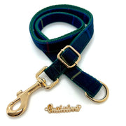 Barclay leash with hands-free extension