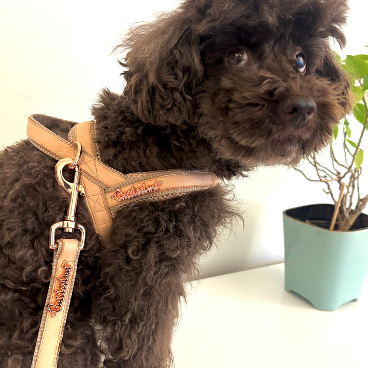 Peach Genuine Leather Collar