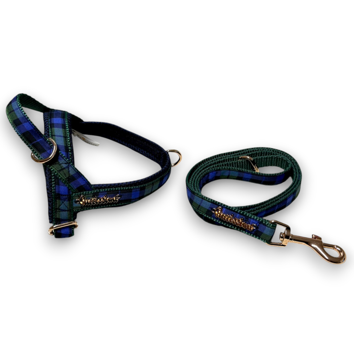 Madras Leash with hands-free extension