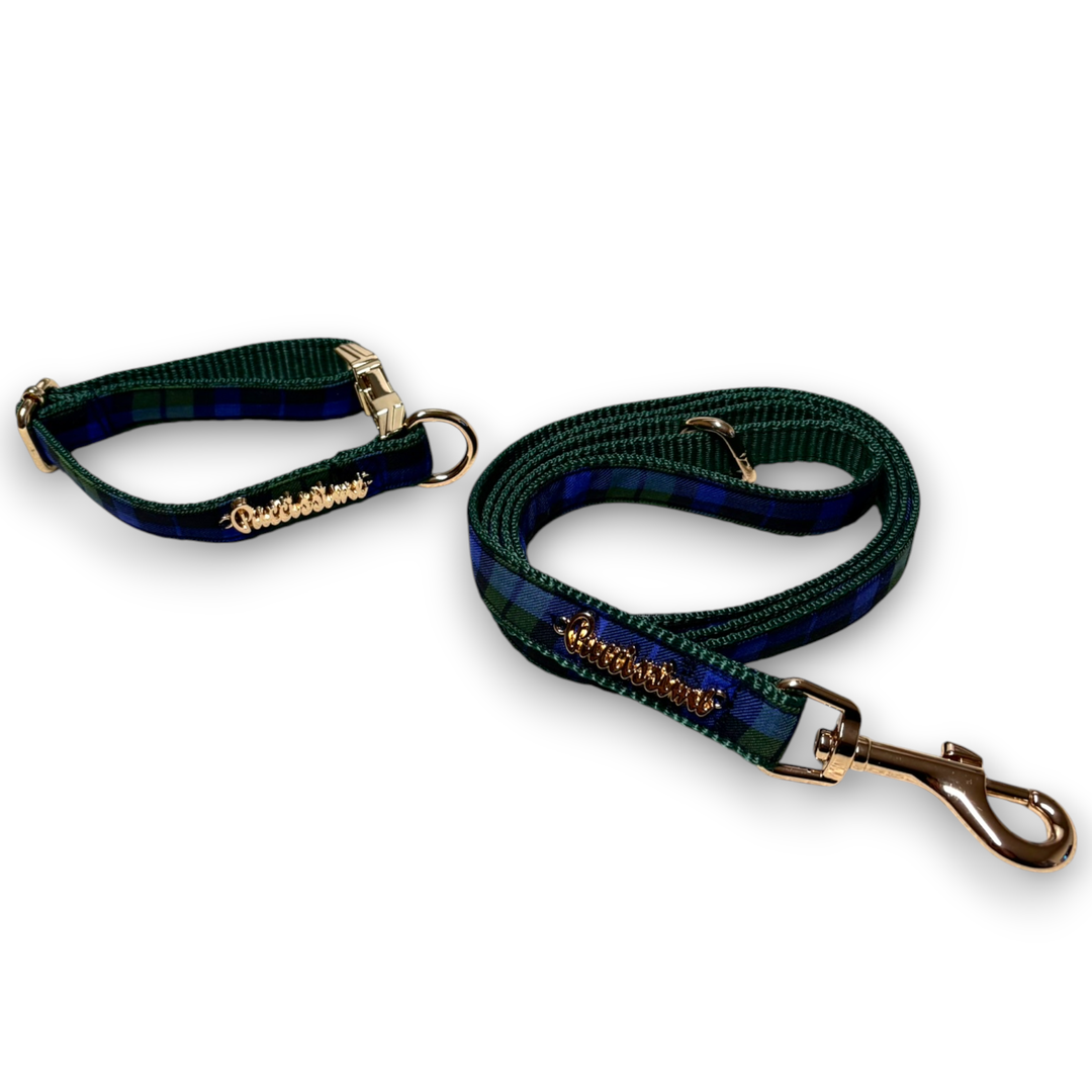 Madras Leash with hands-free extension