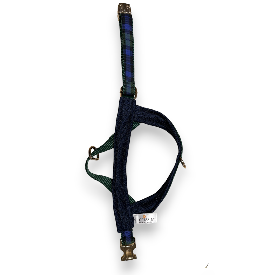 Madras One-Click Dog Harness