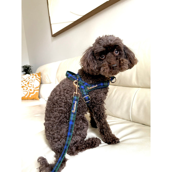 Madras Leash with hands-free extension