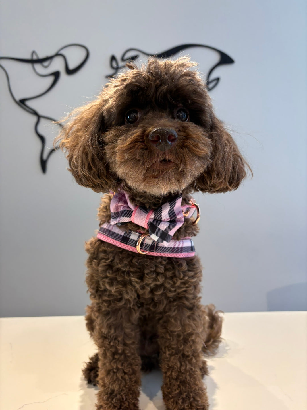 Blossom bow tie