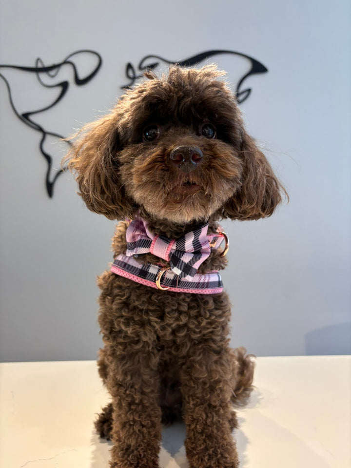 Blossom bow tie