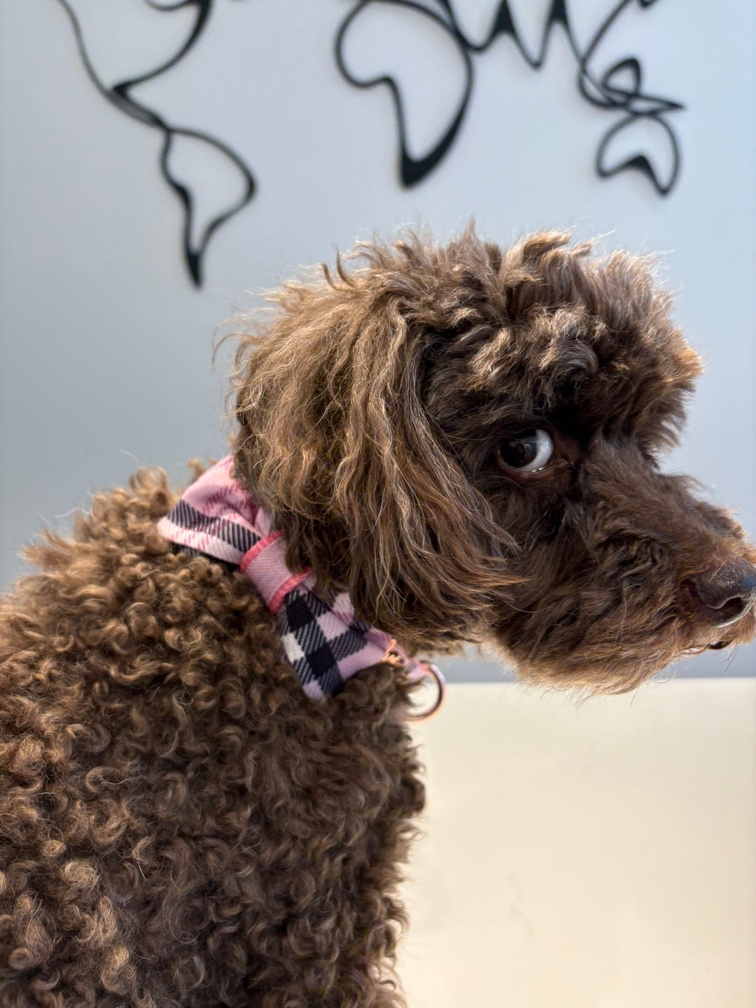 Blossom collar