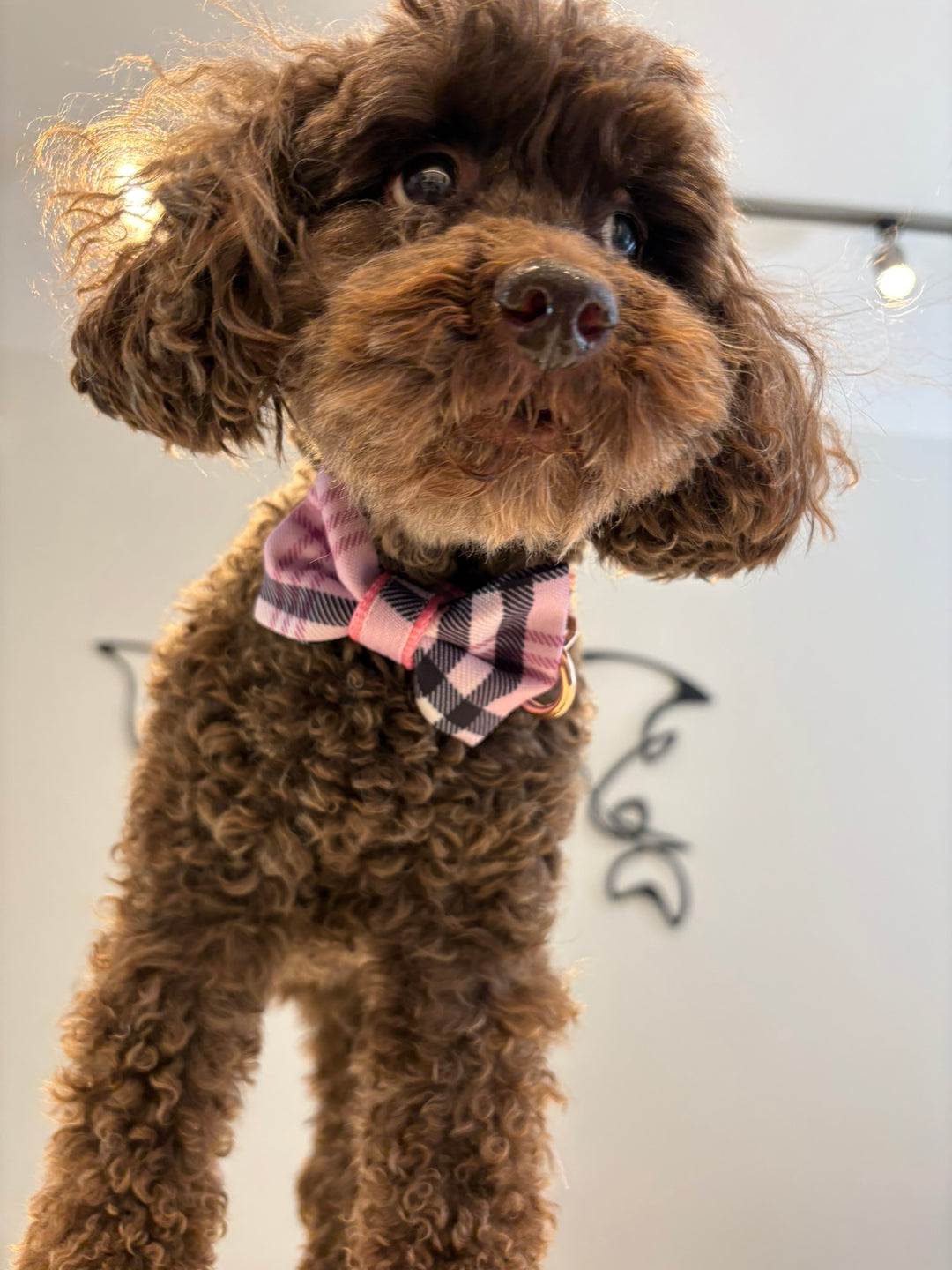 Blossom bow tie