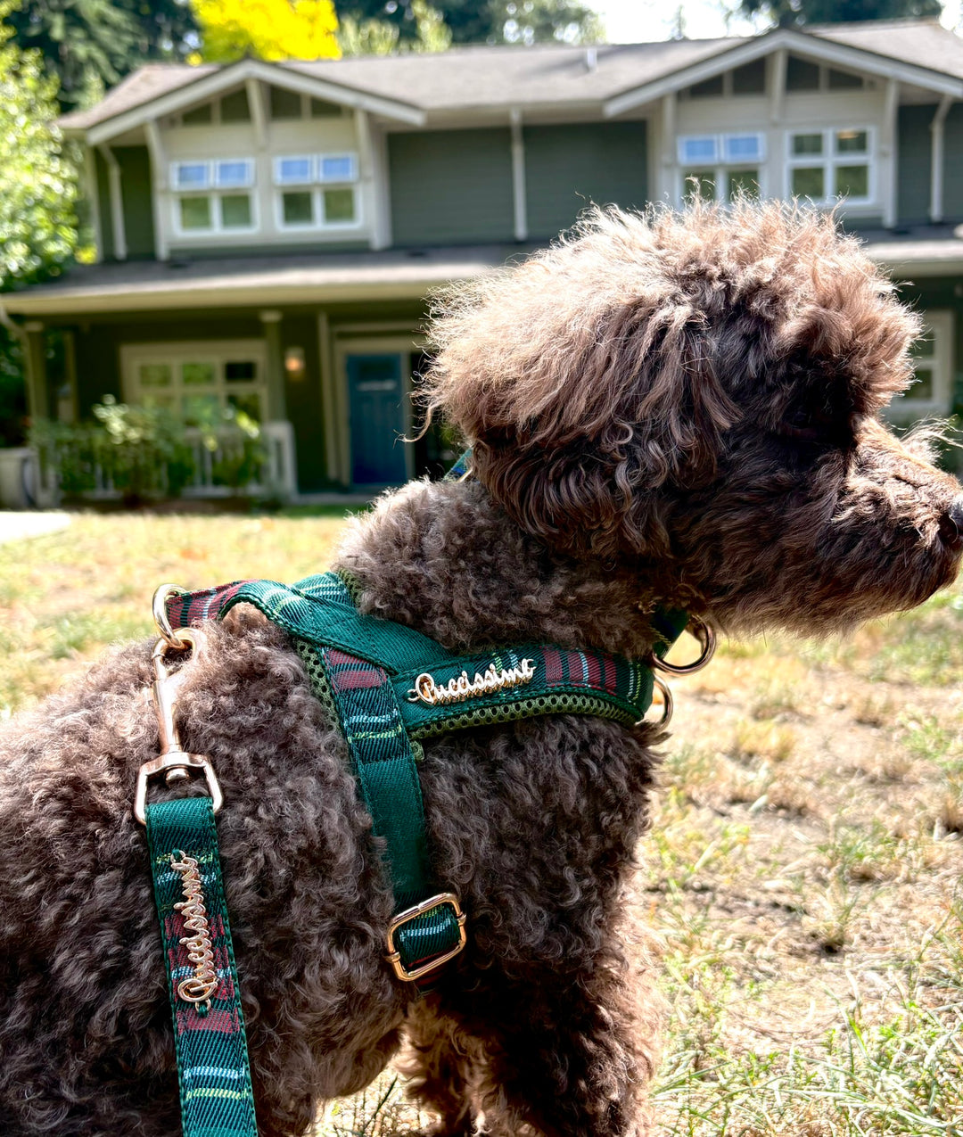 Highland Plaid Green One-Click Dog Harness