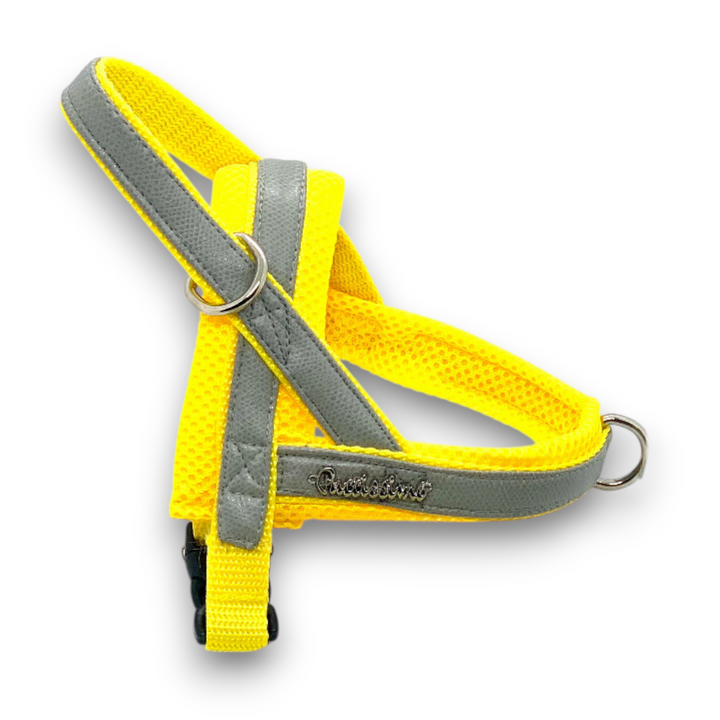 Puccissime Morning mist grey and yellow luxury vegan leather Norwegian one click dog harness. No pull no choke no mat easy wear. MADE IN CANADA