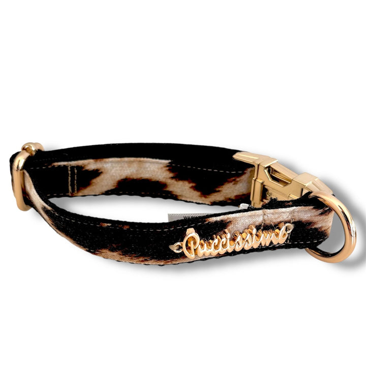 elegant Leopard pet collar- animal print- made in canada