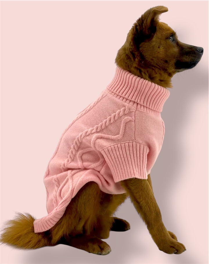 Dog wearing Puccissime pink wool sweater for dogs and cats 