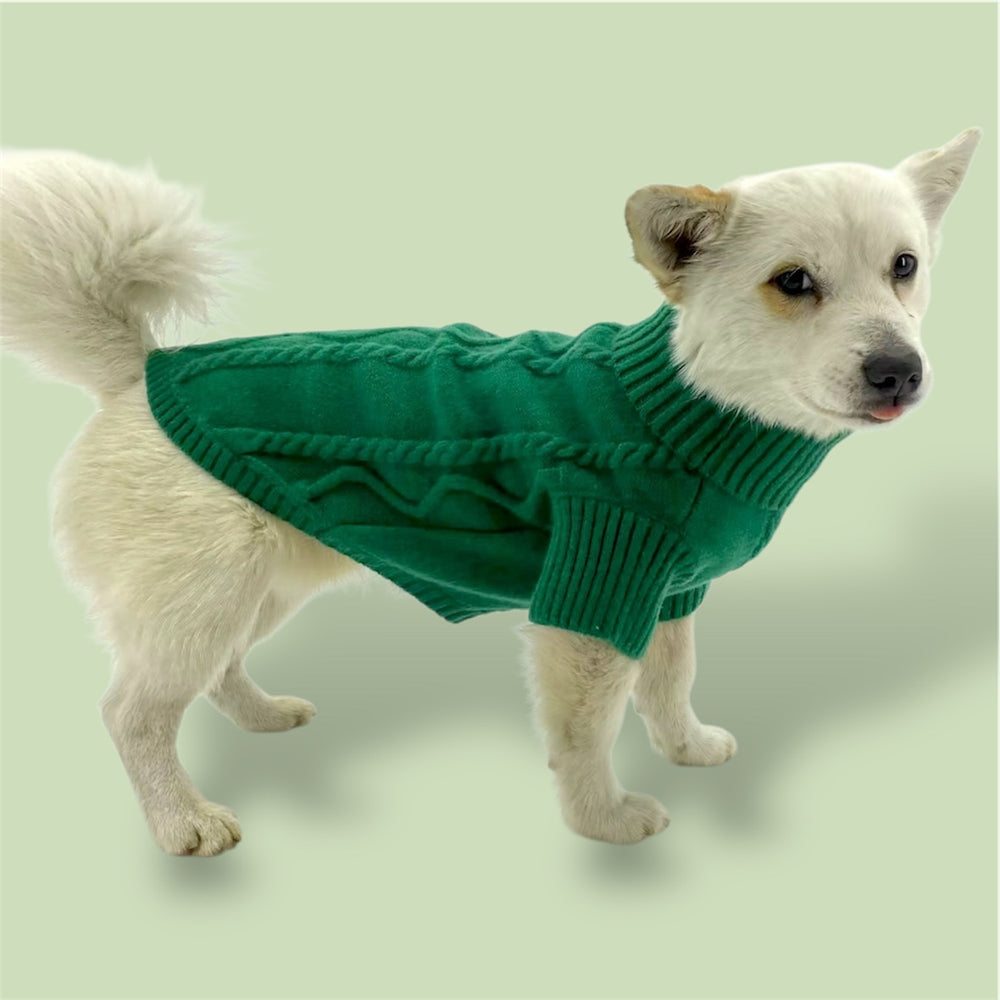 dog wearing Puccissime green wool sweater for dogs and cats 