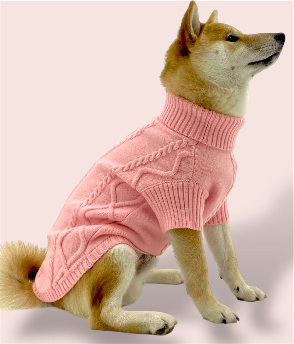dog wearing Puccissime pink wool sweater for dogs and cats 