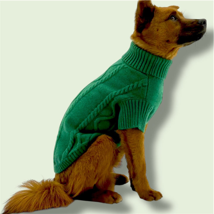dog wearing Puccissime green wool sweater for dogs and cats 