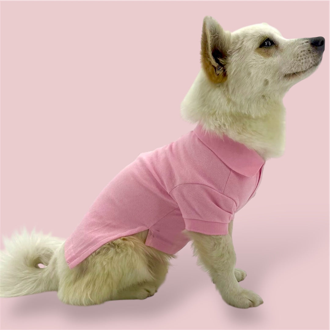 dog wearing Puccissime pink cotton polo shirt for dogs and cats
