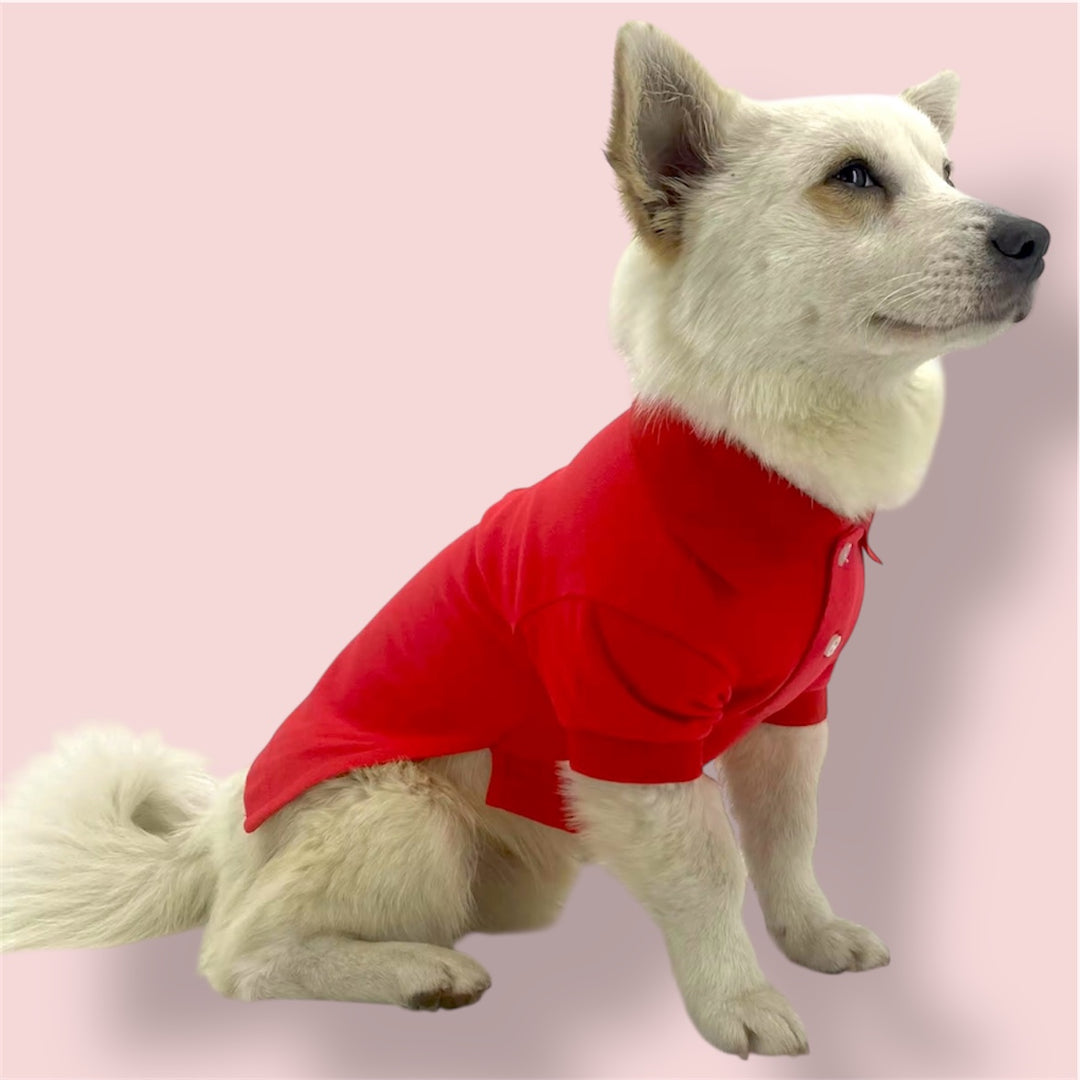 Dog wearing Puccissime red cotton polo shirt for dogs and cats