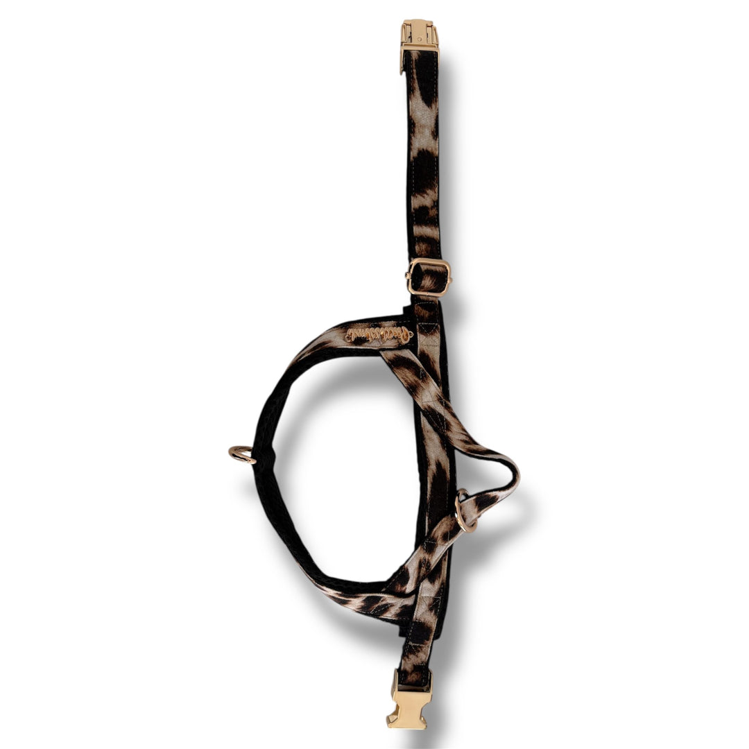 Leopard One-Click Dog Harness