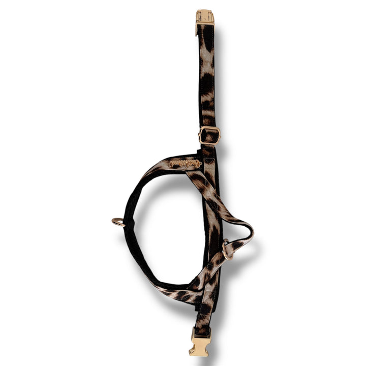 Leopard One-Click Dog Harness