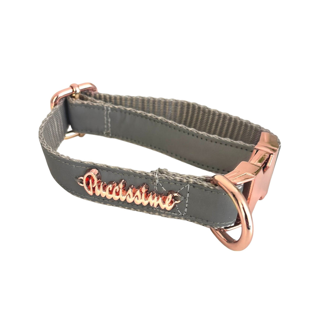 Shine Reflective dog collar