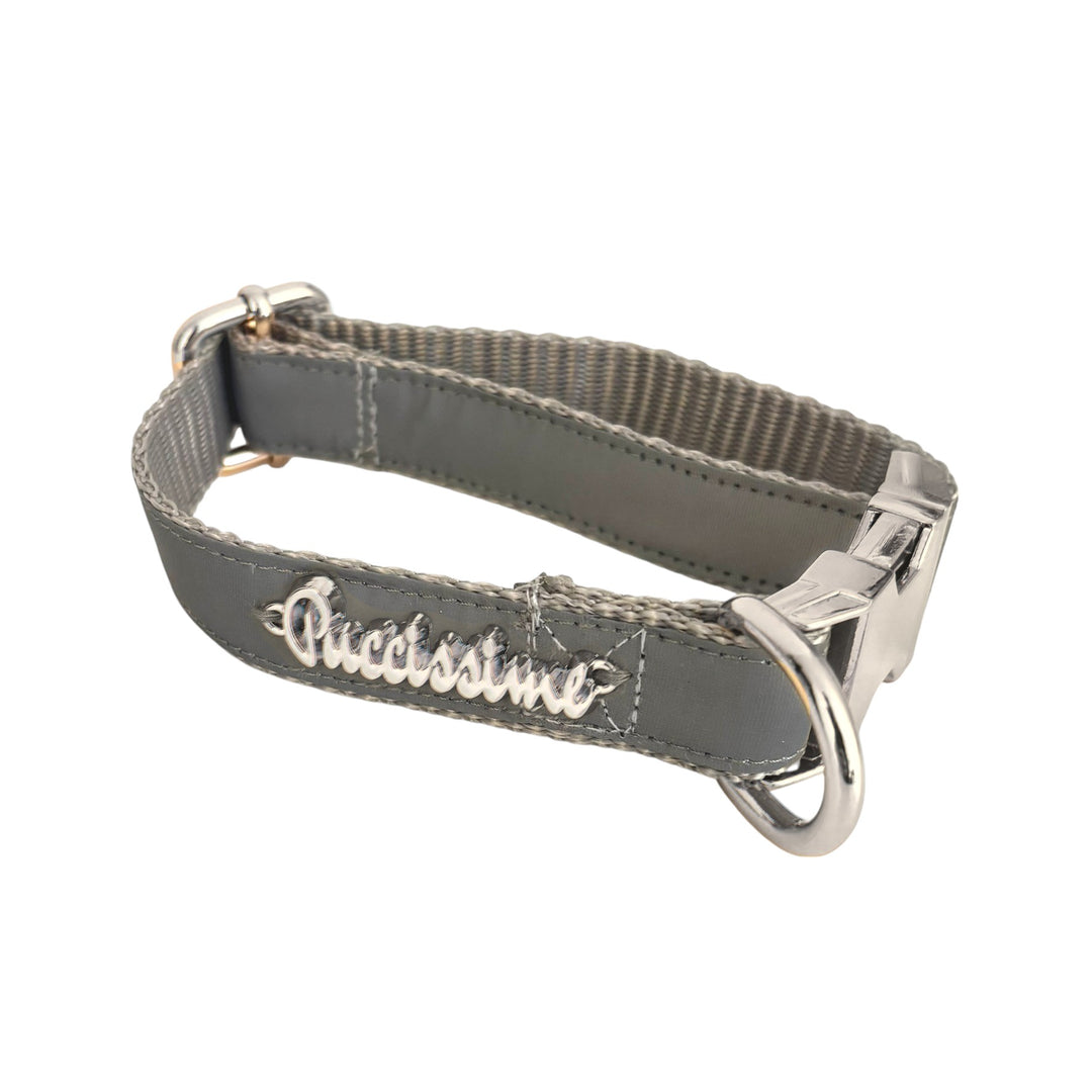 Shine Reflective dog collar