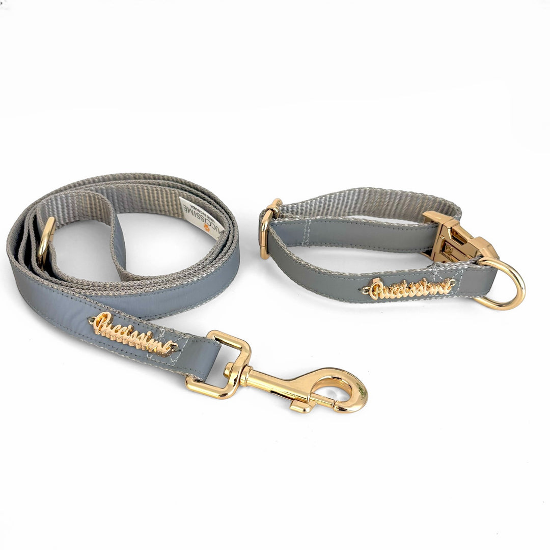 Shine Reflective dog collar