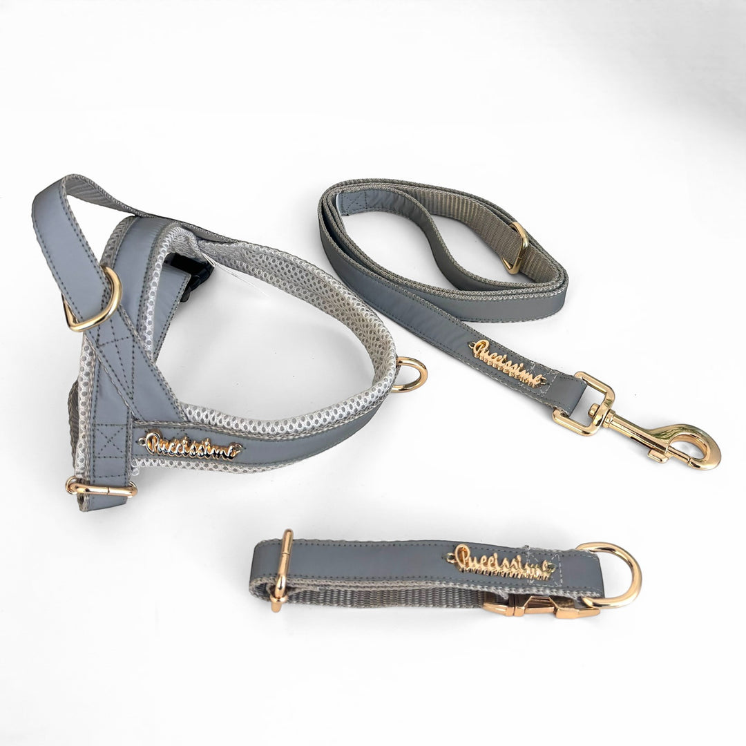 Shine Reflective One-Click Dog Harness