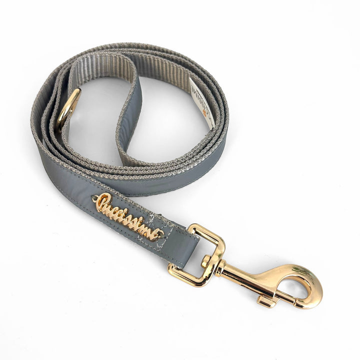 Shine Reflective Leash with hands-free extension