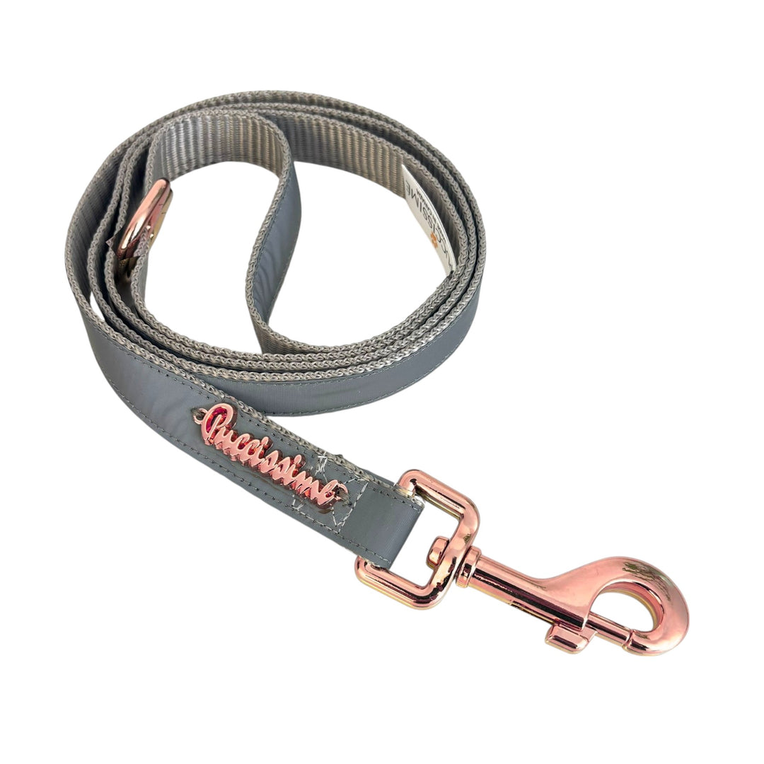 Shine Reflective Leash with hands-free extension