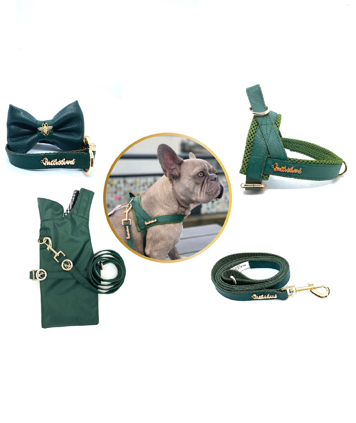 Designer dog collar – Isle For Dogs Boutique LTD