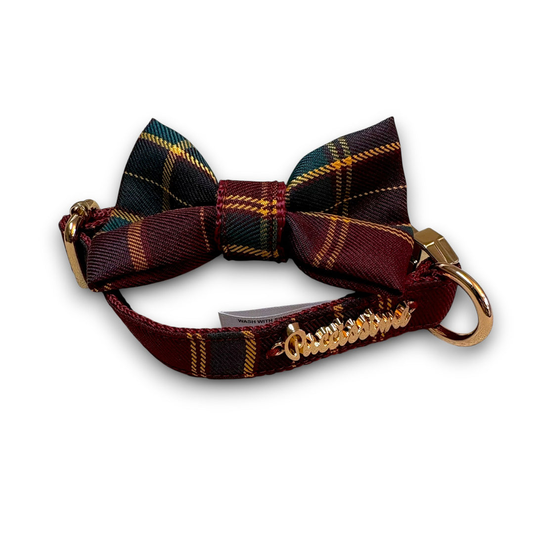 Welsh bow tie