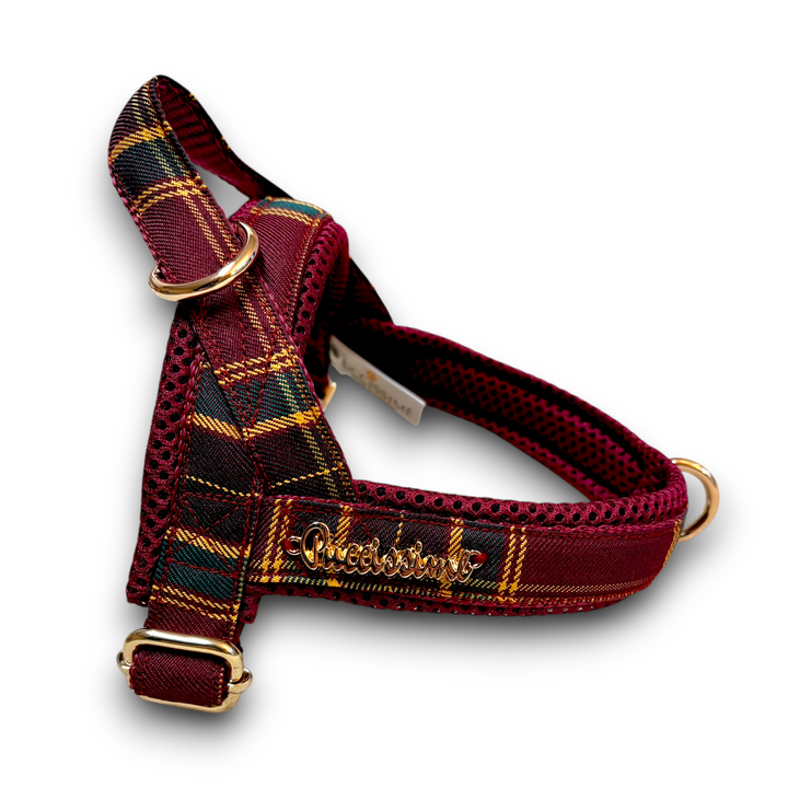 Welsh One-Click Dog Harness