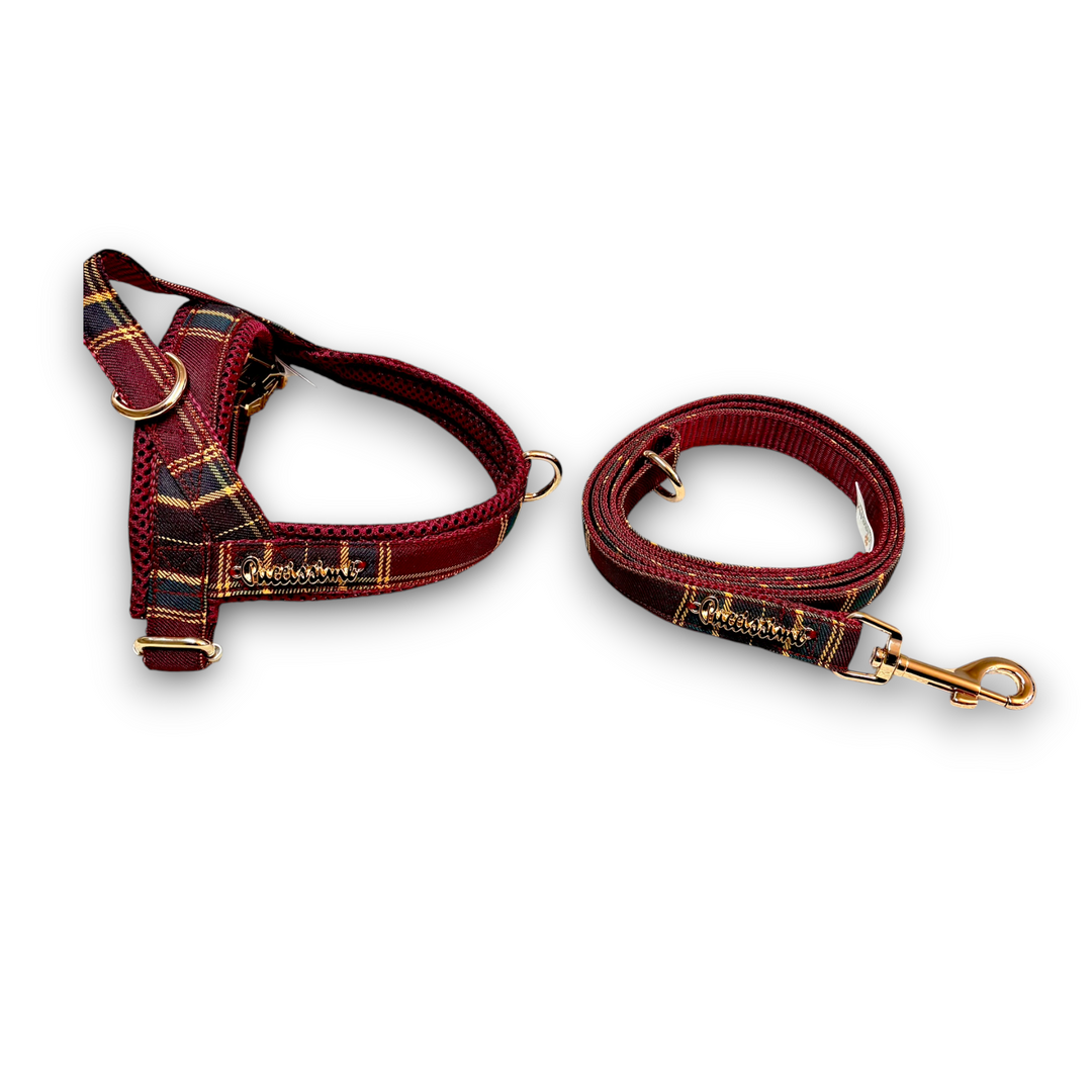 Welsh One-Click Dog Harness