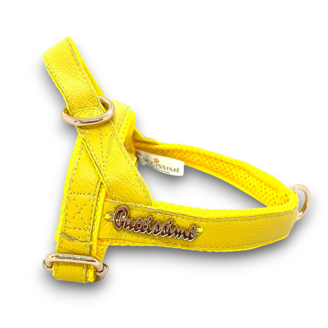 Yellow One Click harness -Genuine Leather, Puccissime Pet Couture