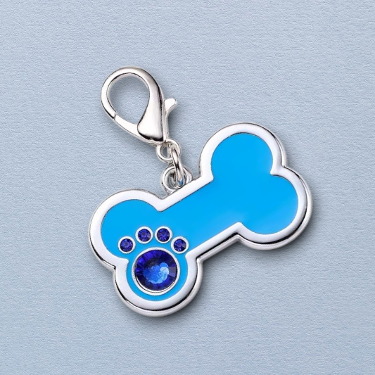 Personalized Engraved Stainless Steel Blue Bone Pet ID Tag