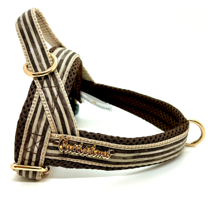 Tierra bow tie