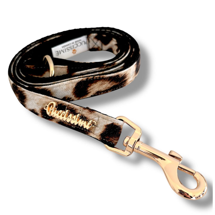 elegant Leopard pet leash- animal print- made in canada