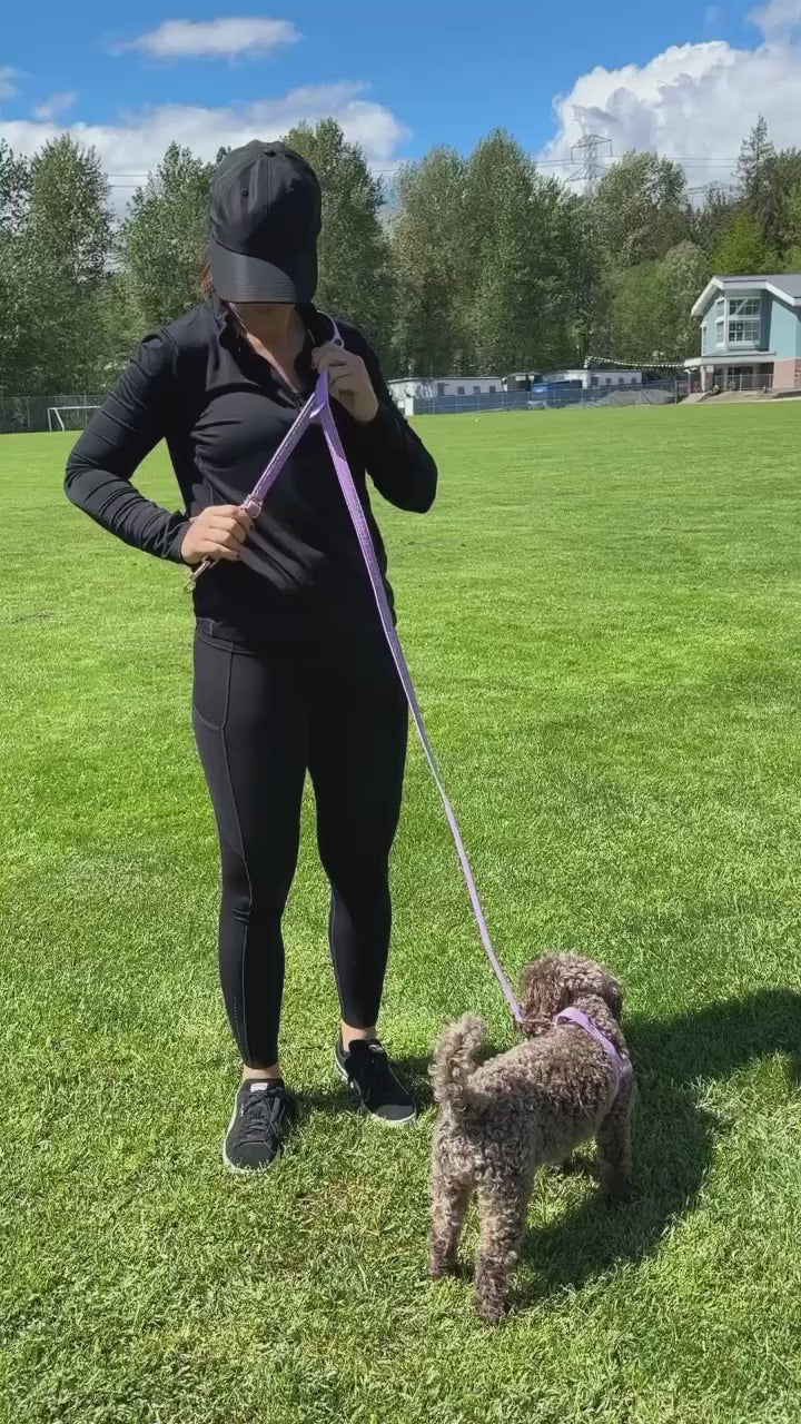 Lavender Leash with hands-free extension